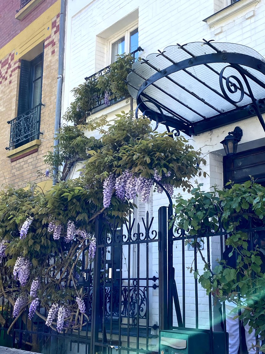 A lovely combination of architecture and wisteria seen in Montmartre, Paris.