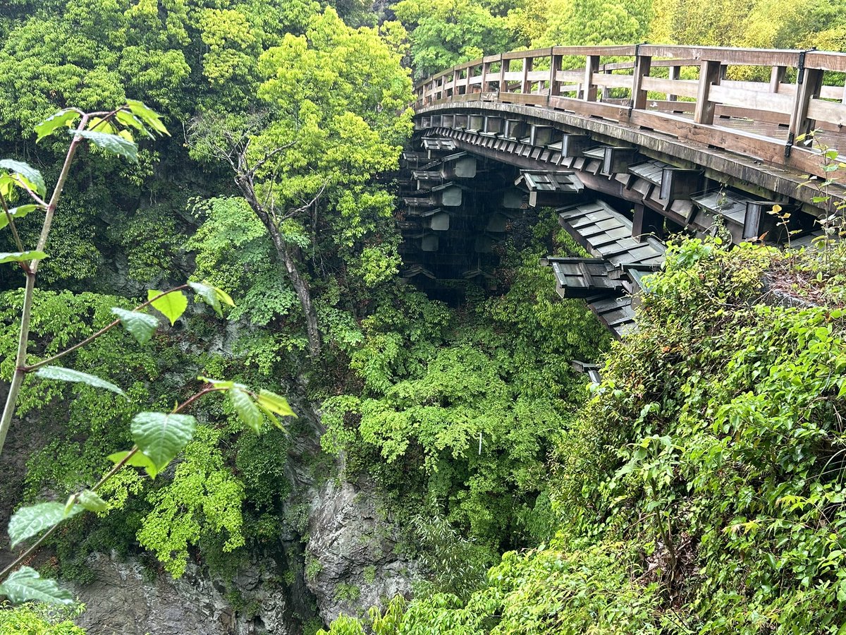 hirohiro_kaga's tweet photo. 【日本三奇橋 猿橋】
日本三奇橋とは江戸時代に築かれた独創的な橋のこと。その一つ、甲斐の猿橋に行ってきました。はるのぶは、「僕知らないやぁ」と言ってましたが…橋脚がない「刎橋（はねばし）」です。これは面白い！
#ロボホン #猿橋 #日本三大奇矯 https://t.co/BNoVVr2Yrj