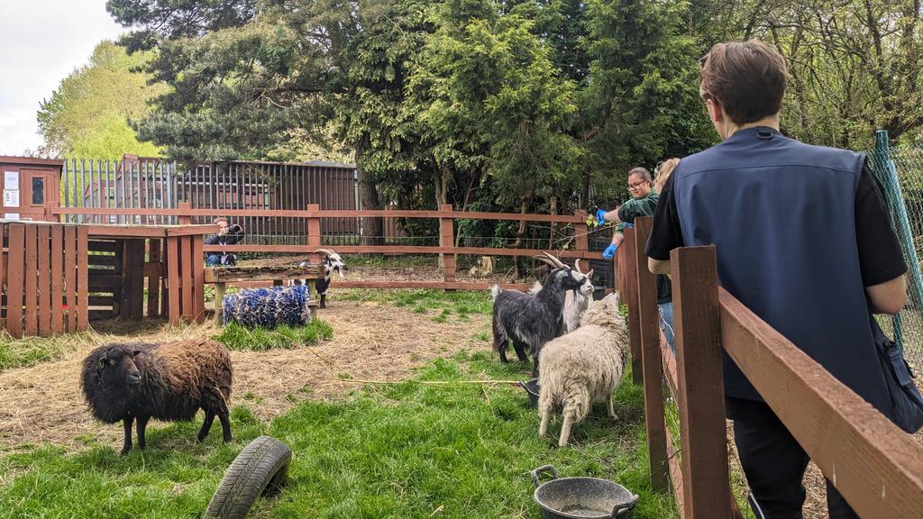 canterburycoll's tweet image. The sun has come out, just in time for filming at our #SpringLane campus. ☀️

You too can feed the animals, explore the grounds and take part in fun activities at our Spring Fayre event next Saturday: canterburycollege.ac.uk/information/wh… 🌳