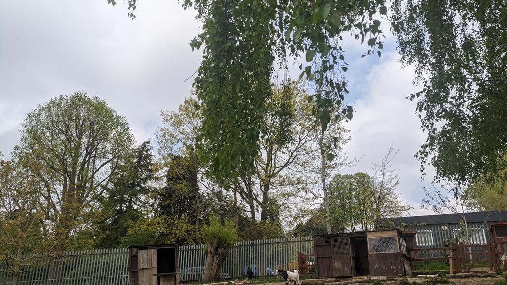 canterburycoll's tweet image. The sun has come out, just in time for filming at our #SpringLane campus. ☀️

You too can feed the animals, explore the grounds and take part in fun activities at our Spring Fayre event next Saturday: canterburycollege.ac.uk/information/wh… 🌳