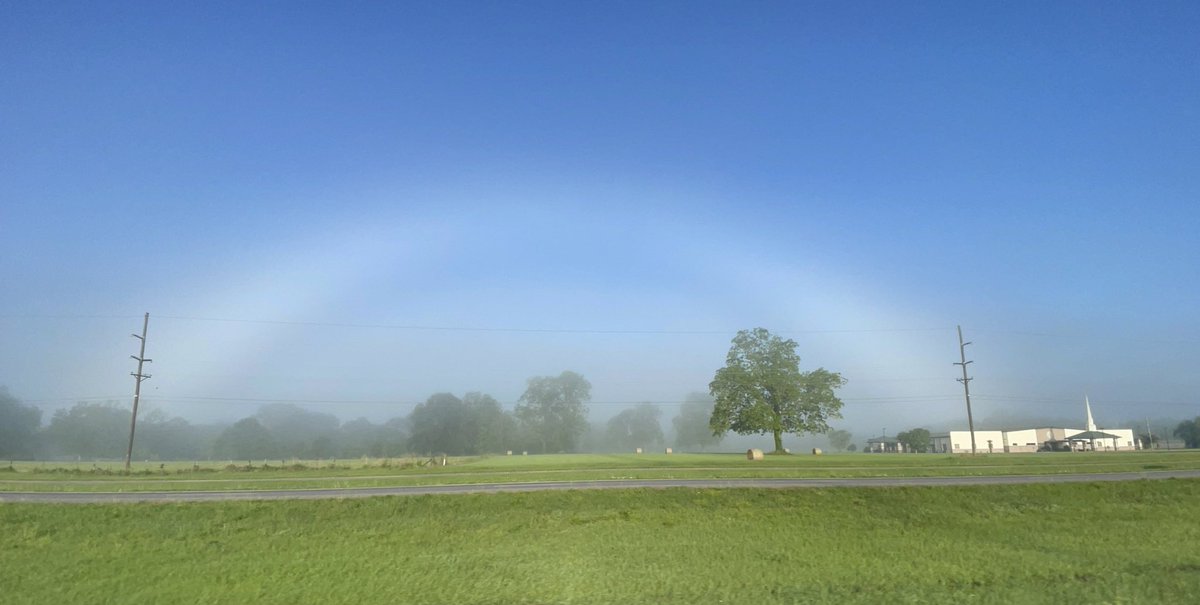 This morning I got lucky in St. Landry Parish to be in just the right spot of the dense fog patch to catch a fogbow 😍 #lawx #wxtwitter @JimCantore