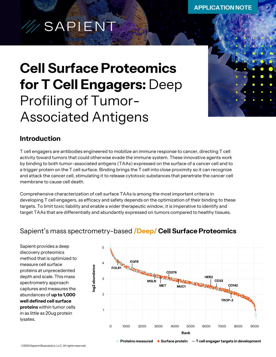 #DYK? Sapient's mass spectrometry-based /𝐃𝐞𝐞𝐩/ 𝐂𝐞𝐥𝐥 𝐒𝐮𝐫𝐟𝐚𝐜𝐞 𝐏𝐫𝐨𝐭𝐞𝐨𝐦𝐢𝐜𝐬 can be used to identify & prioritize tumor-associated antigens (#TAAs) as key targets for #Tcellengagers, measuring up to 1,000 cell surface proteins: tinyurl.com/ytdeec8u #Tcells