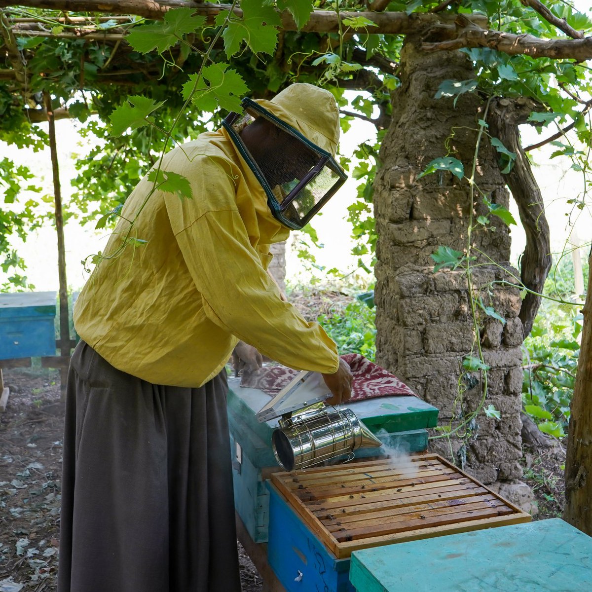 Together, we witnessed a man’s success story, one of many, who received beehive loans from WFP &      training on how to manage them.

This is a step towards empowering him and others to increase their income & kickstart their own business. 🐝#EconomicEmpowerment