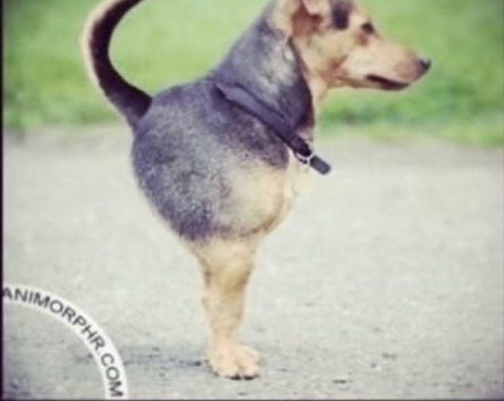 voce  ja  se  sentiu  assim ?