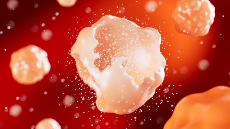 Few tools can cut through scientific jargon like 3D animations. 🧑‍💻

Our striking but scientifically sound 3D work engages HCPs and builds understanding across all medical sectors. Here’s a glimpse of how we create those animations. 👇