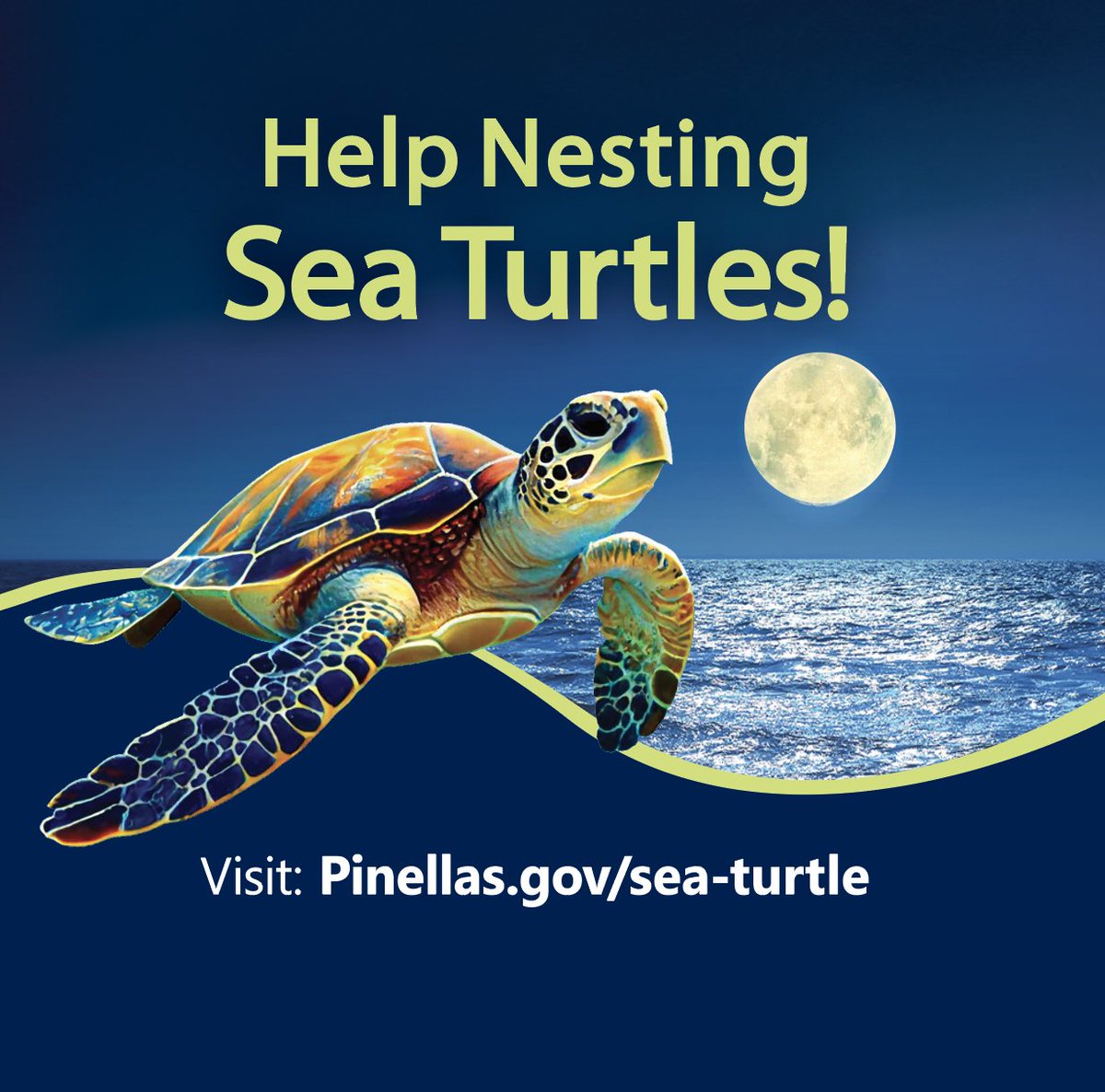 Spread the word and help protect our #seaturtles. Lights shining toward the beach can disorient them, and sand castles, beach equipment and trash left behind can trap them. Keep the beach dark and smooth to give them an easier time. #KeepTheBeachClean #SaveTheTurtles #PCPW