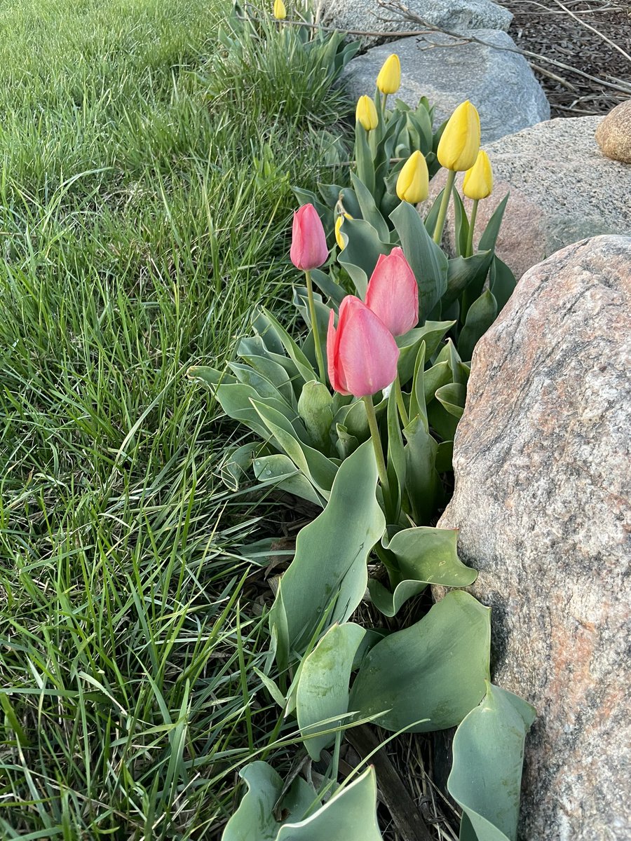 Good Morning from 605
High of 62 today. 
Cheers ☕️ to all of us as He has given us another day. Take time today and let those you care about know they are important to you. 
#SD605
#ItsOkToNotBeOk
#Sunrise