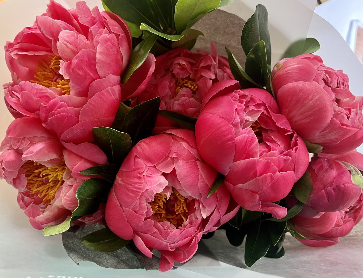 Peony time! Know many of you are fans. My mam used to grow these, before her stroke, her absolute faves, mine too. Marking the start of May by taking her a bunch 🌺