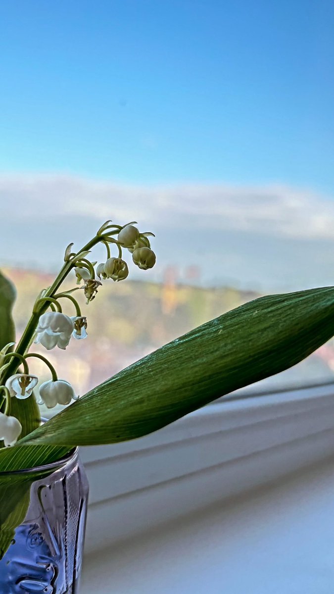 Bonne fête ! 🌿

#FeteduTravail #1erMai2024