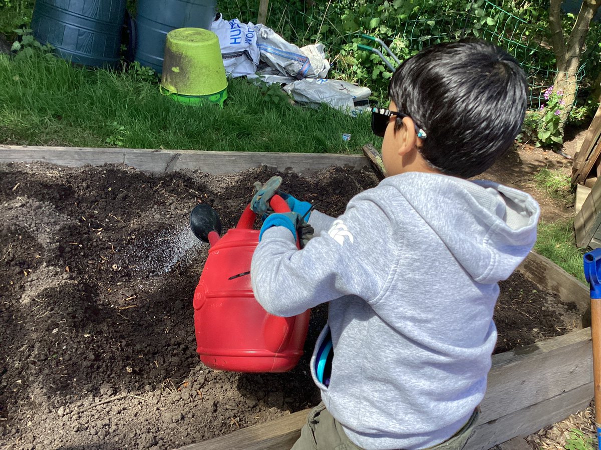 BollinPrim1D's tweet photo. Gardening in the sun with Mrs. Howitt! Our favourite time of the year 🌞🪴👨🏽‍🌾 https://t.co/ALi1suBKG4