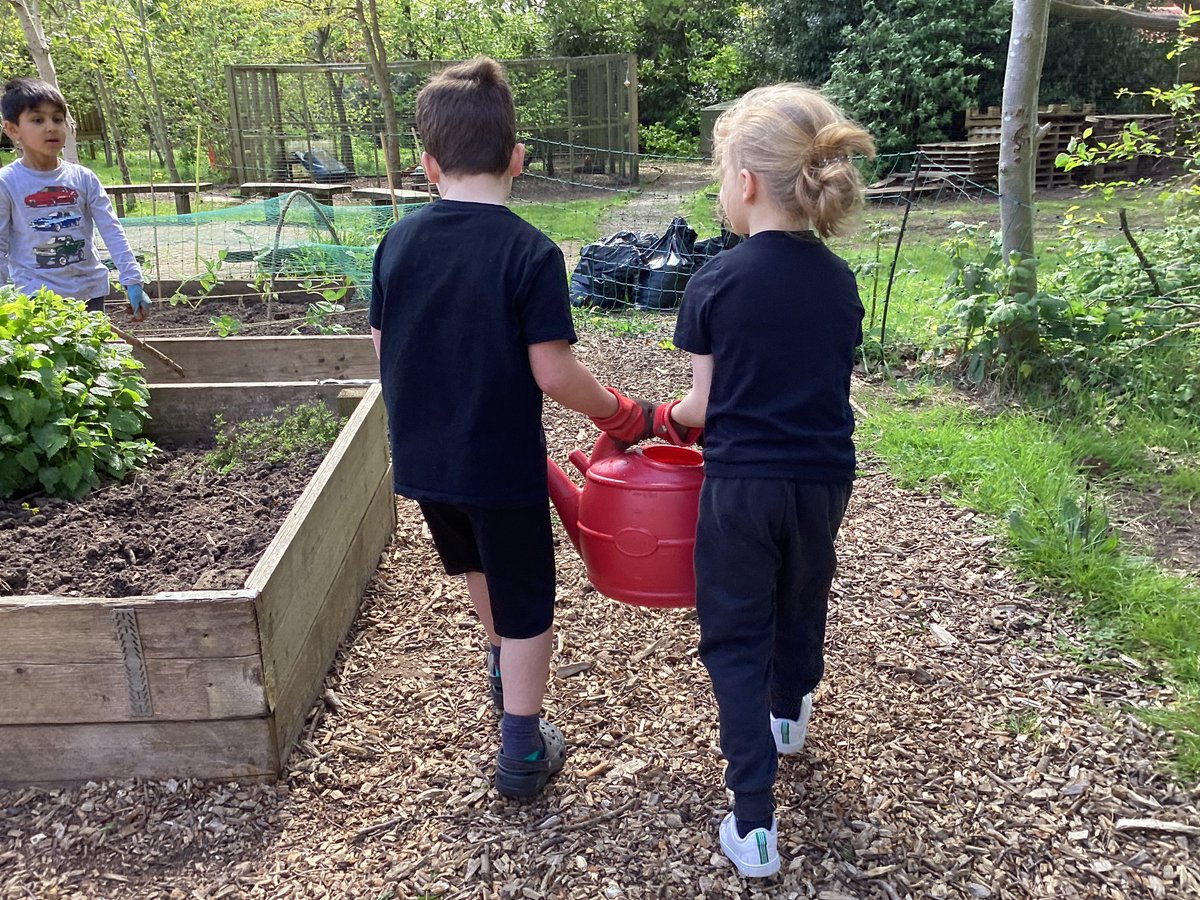BollinPrim1D's tweet photo. Gardening in the sun with Mrs. Howitt! Our favourite time of the year 🌞🪴👨🏽‍🌾 https://t.co/ALi1suBKG4
