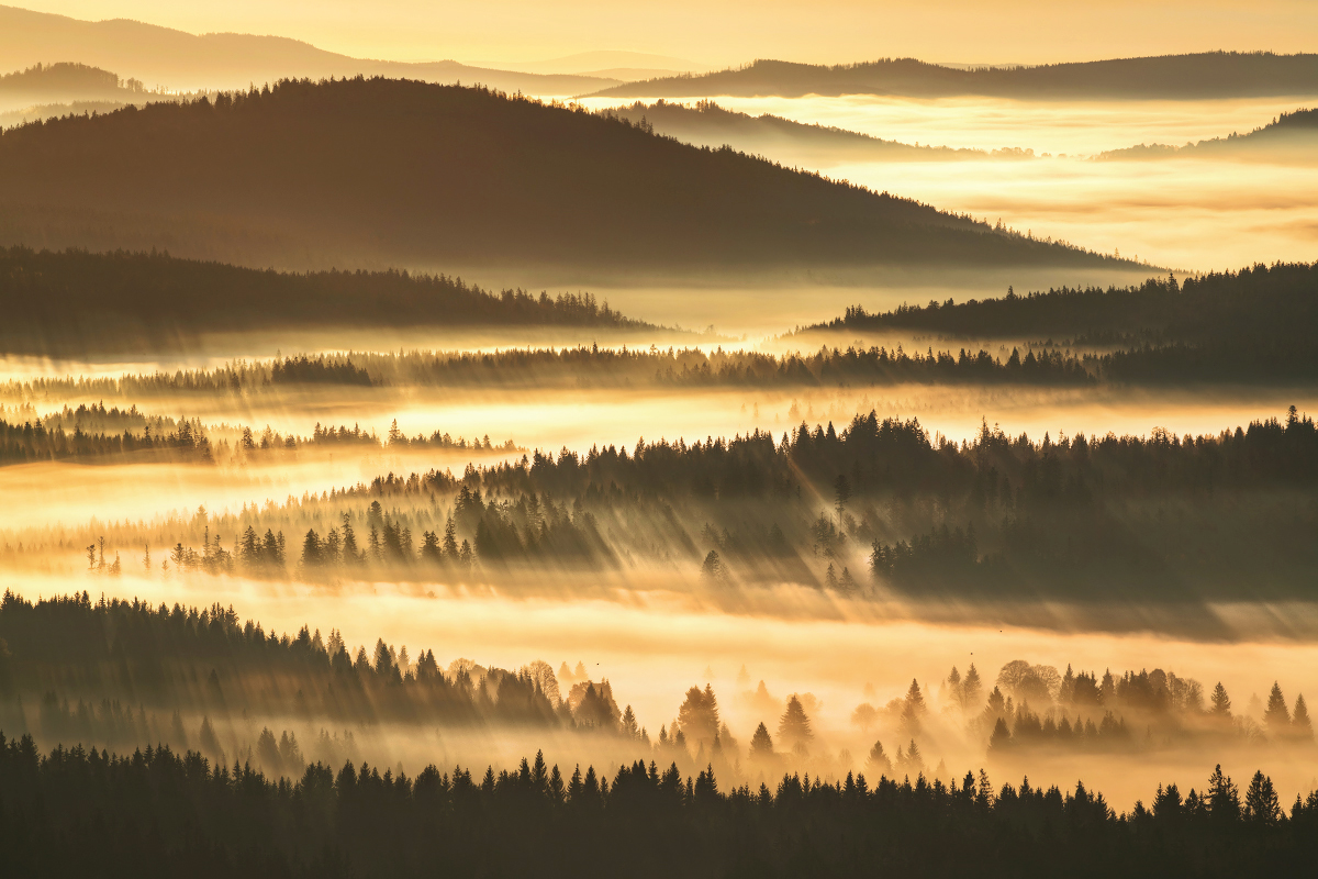 Endless Layers
Bavaria, Germany 
#landscapephotography #fog #germany