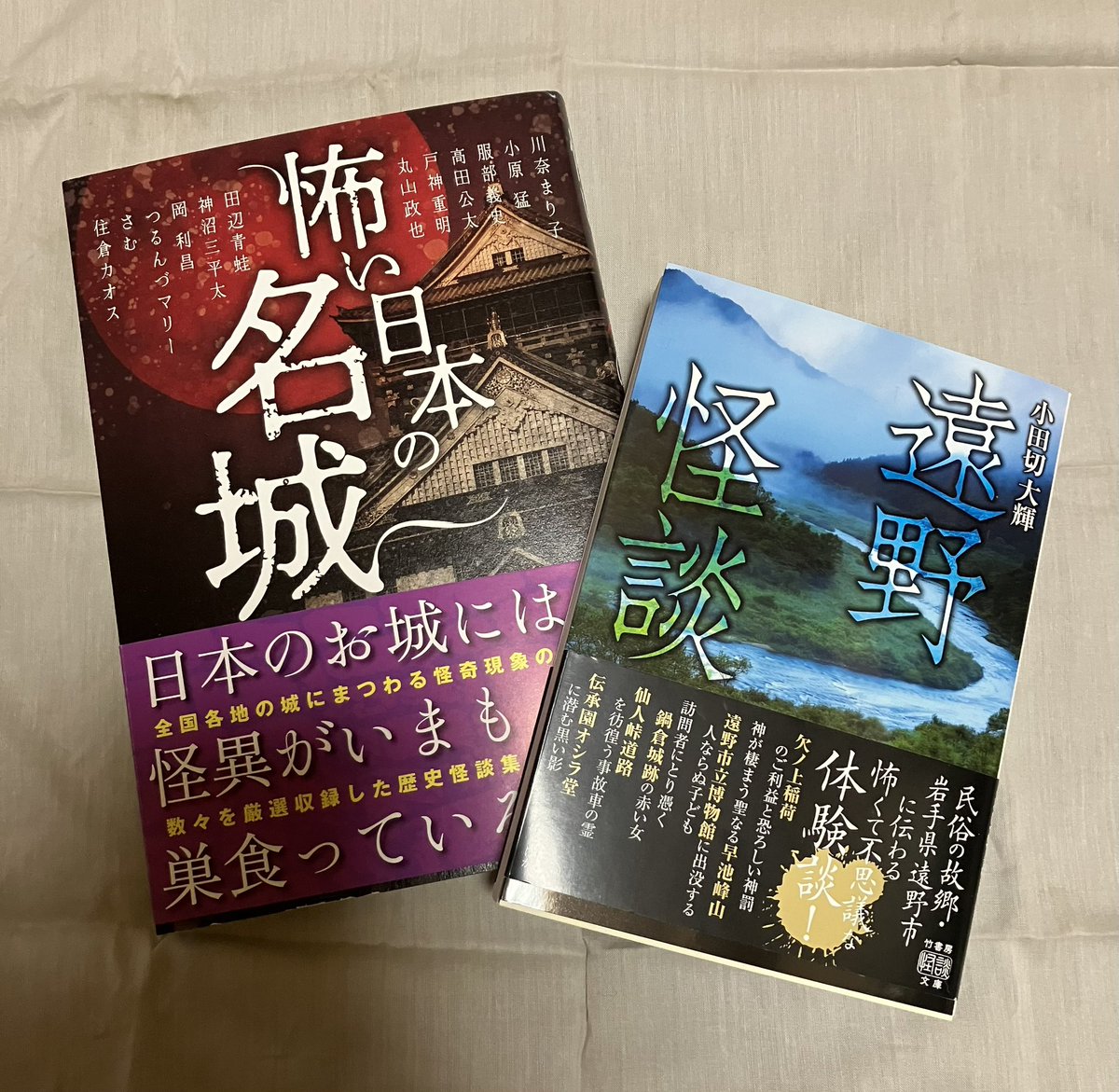 ヒロロのTSUTAYAで怪談文庫新刊購入。
他にも購入したい本があったんだけどいくら血眼になって探しても見つからず。売り切れたのかもしれないけどジュンク堂が無くなった弊害がすでに出た…😩