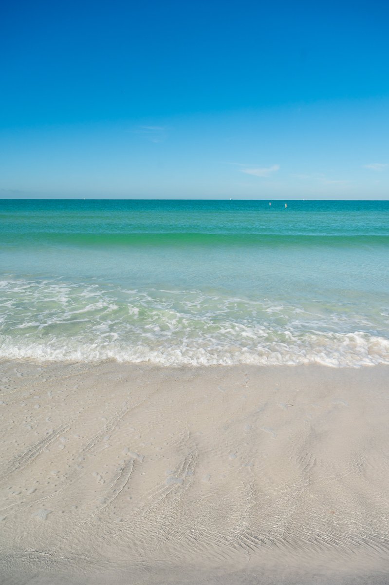 Meanwhile, at America's Best Beaches. 😎🏝️ #FortDeSotoPark #Florida