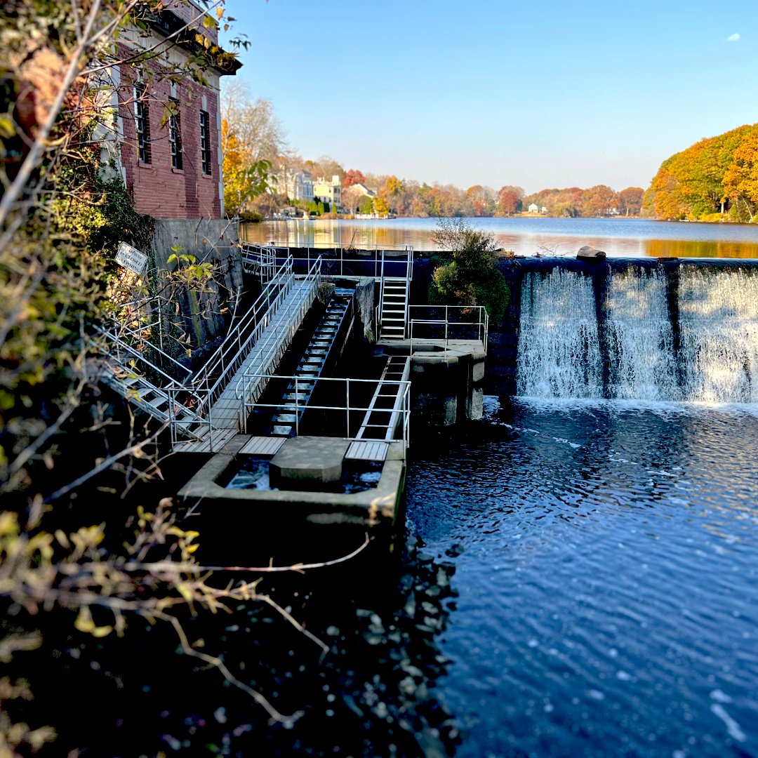 Fred Elser First Sunday Science: How the Fishway Works Along the Mianus River⁠ Sunday, May 5, 2:00 pm-3:00 pm⁠ ⁠ Held at the Floren Family Environmental Center at Innis Arden Cottage, Greenwich Point Park, Old Greenwich, CT⁠. brucemuseum.org/whats-on/fred-…