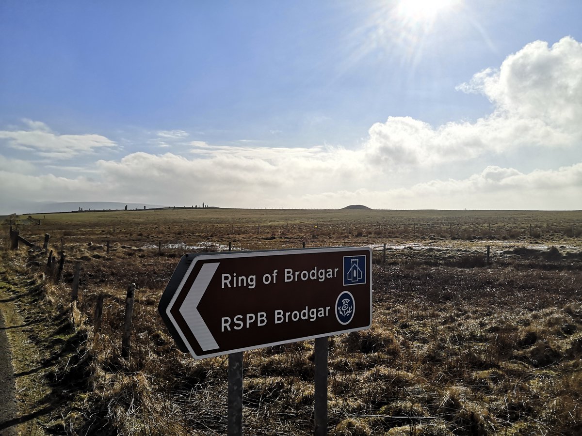 Tomorrow in Orkney! Join Species on the Edge & @HistEnvScot at 1pm for a walk at the Ring of Brodgar. No need to book, just meet at the sign in the car park. Road access from Stenness is closed this week, if you need directions or any other info 📨 samantha.stringer@rspb.org.uk