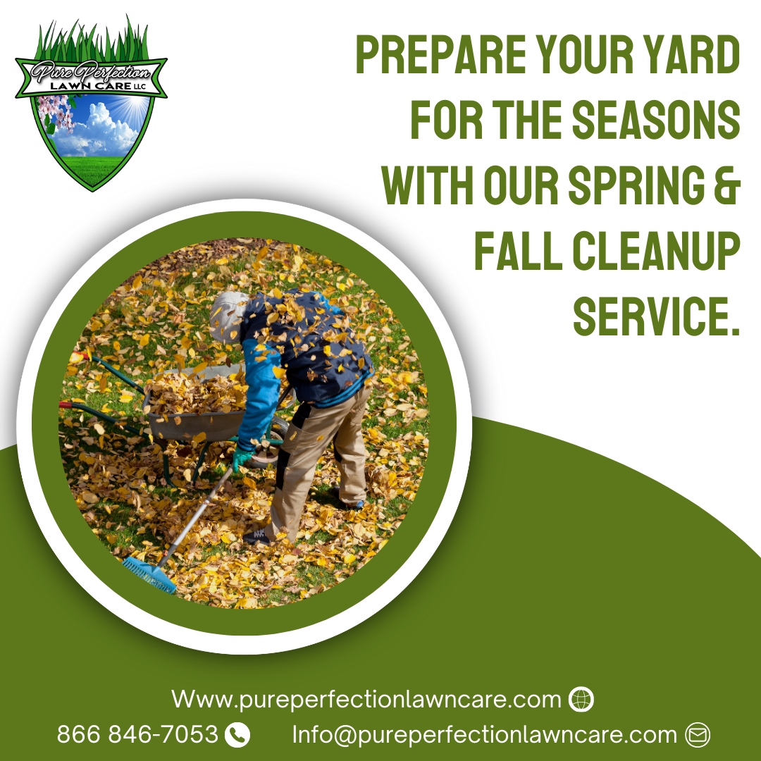 Contact us for seasonal cleanup! 🍁 Let's keep your yard looking its best no matter the season!

🌐 pureperfectionlawncare.com
📞 866 846-7053
📧 Info@pureperfectionlawncare.com

#PurePerfectionLawnCare #lawngoals #outdoorliving #gardens #outdoors #landscapephotography #plants