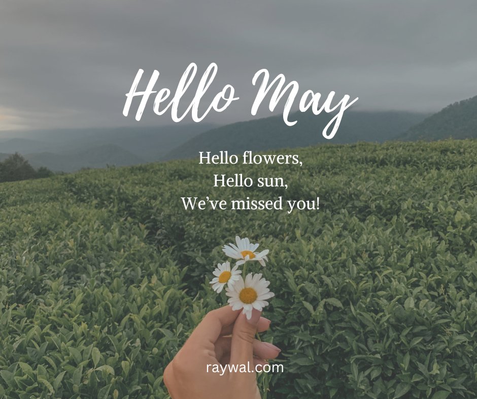 Welcome old friend.

#May #ItsFinallyHere #Spring

#raywal #raywalcabinets #canadianmade #cabinets