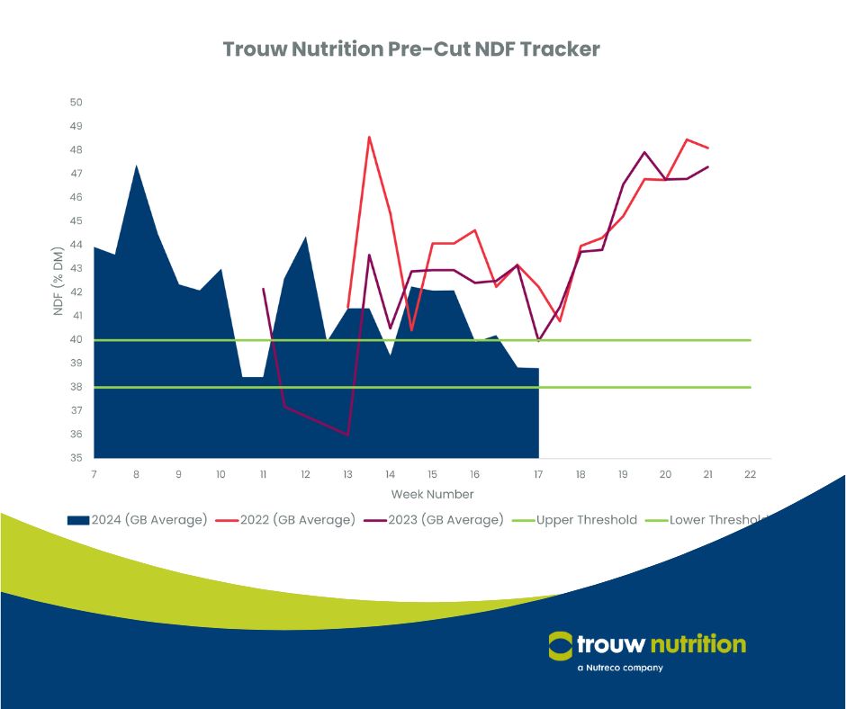 Average NDF levels remain similar at 38.8% DM, and still within the target of 38-40% DM. However there is a wide range from 31.05 – 59.17% DM. Full report➡️ trouwntr.tn/2yY GrassWatch subscription info➡️ trouwntr.tn/2yX #TrouwNutrition #PreCutTracker #GrassWatch