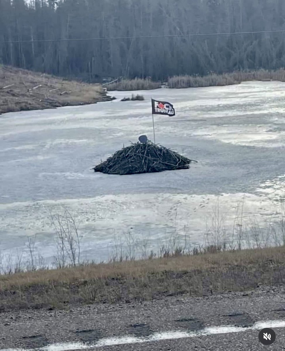 Even the beavers have had enough. 😆
#TrudeauIsWacko #WackoPrimeMinister 
#canpoli #cdnpoli