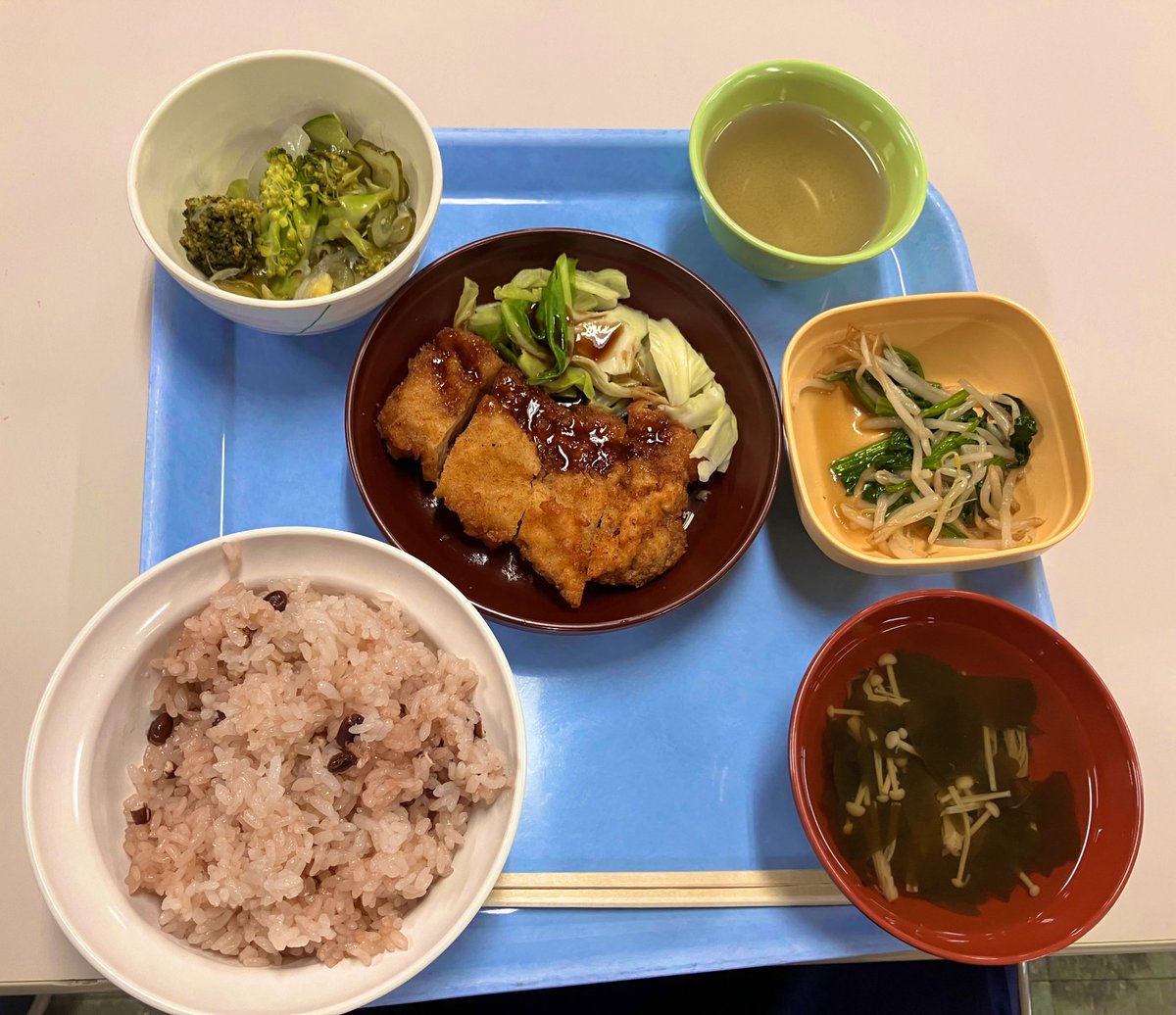 今日の寮食はトンカツ‼️ めちゃくちゃうまいんですけど、 なんとこれ390円で食べれちゃいます😊 厨房員さん、いつもありがとう〜😭