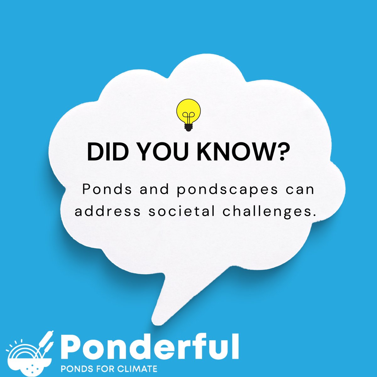 From providing learning and inspiration to regulating water quality and protecting against hazards, like fires and floods, ponds can address many of the biggest challenges we face. Learn how the #PONDERFUL demo-sites address societal challenges: ponderful.eu/demo-sites/