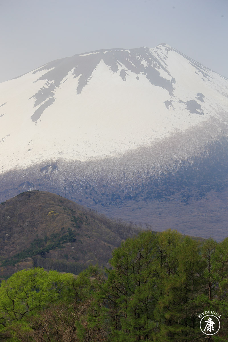 残雪の岩手山
八幡平市