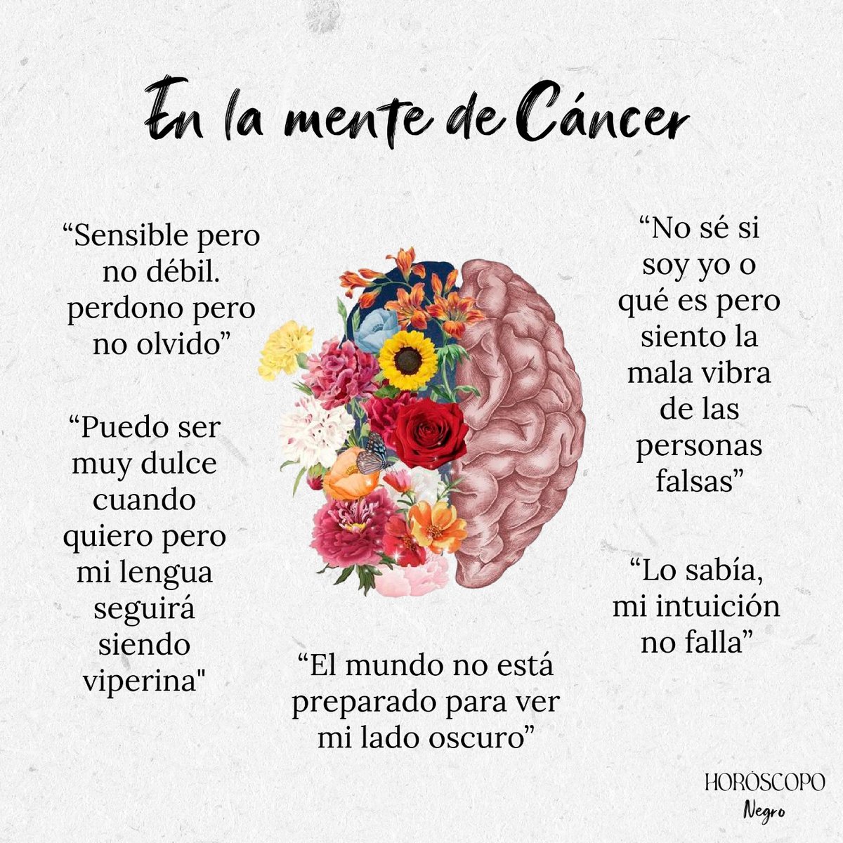 Cáncer 🔮 deja en comentarios el pensamiento que más te representa ✨