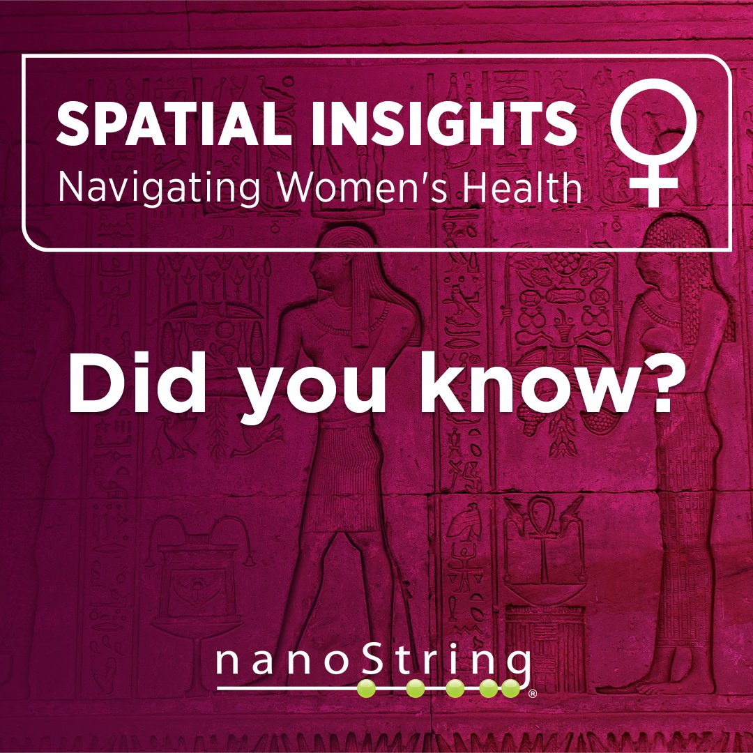 Did you know? The first documented cases of breast cancer go back to 3500 BCE. Tune in for our webinar series this month to hear how breast cancer is being studied today with spatial biology. Register today! 👉 bit.ly/4dhI8KU #spatialbiology