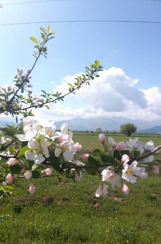 The first day of May in Kyrgyzstan