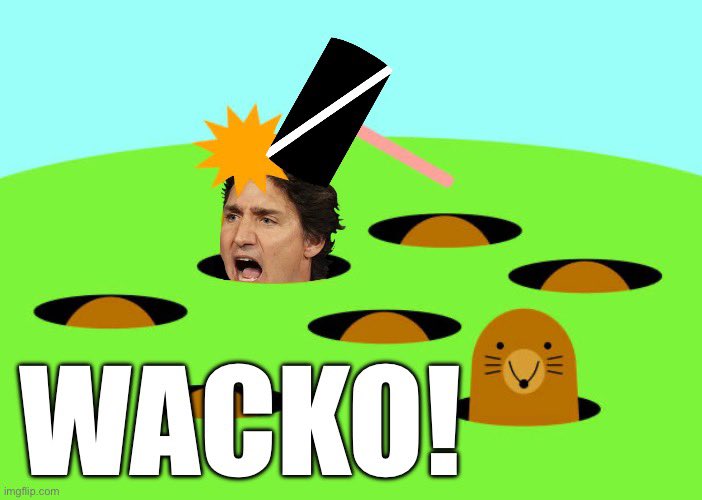 Good Day 🇨🇦! Today is May 1st, and Justin Trudeau is the WORST prime minister in Canadian history and a wacko.

#TrudeauMustResign
#TrudeauIsWacko