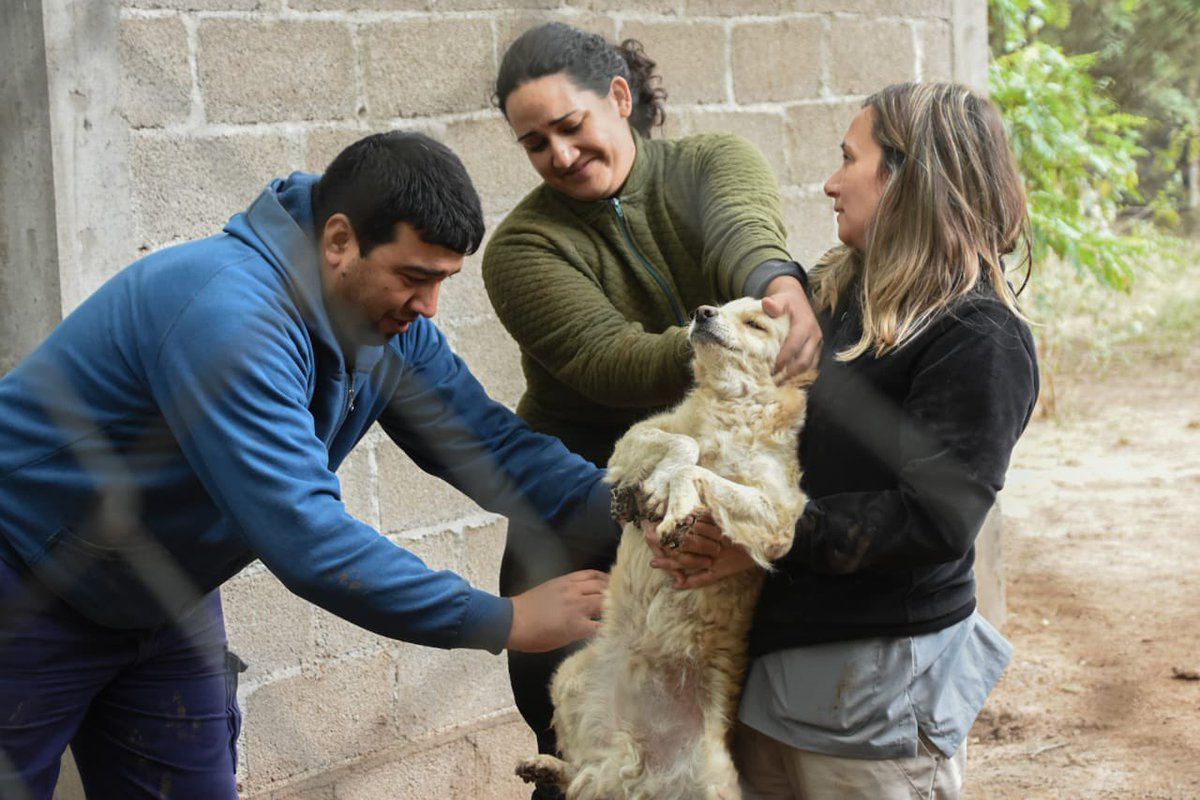 En este día quiero reconocer el esfuerzo y la dedicación de todos los equipos de Salud. ¡Gracias por contribuir y formar parte de la transformación de un sistema sanitario que busca la igualdad, la calidad y la calidez de la atención! 

¡Felíz día de la y el trabajador!