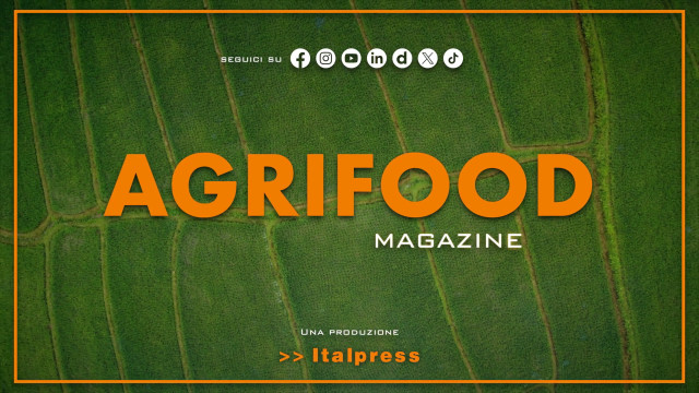 Agrifood Magazine – 1/5/2024 dlvr.it/T6GXSg