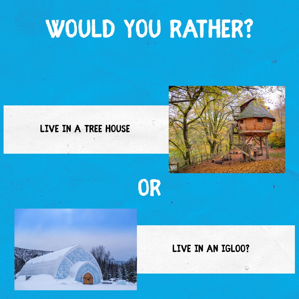 Which would you prefer?  Let us know in the comments! #acop #americanconsumeropinion #surveysformoney #wouldyourather #wouldyouratherquestions #treehouse #igloo