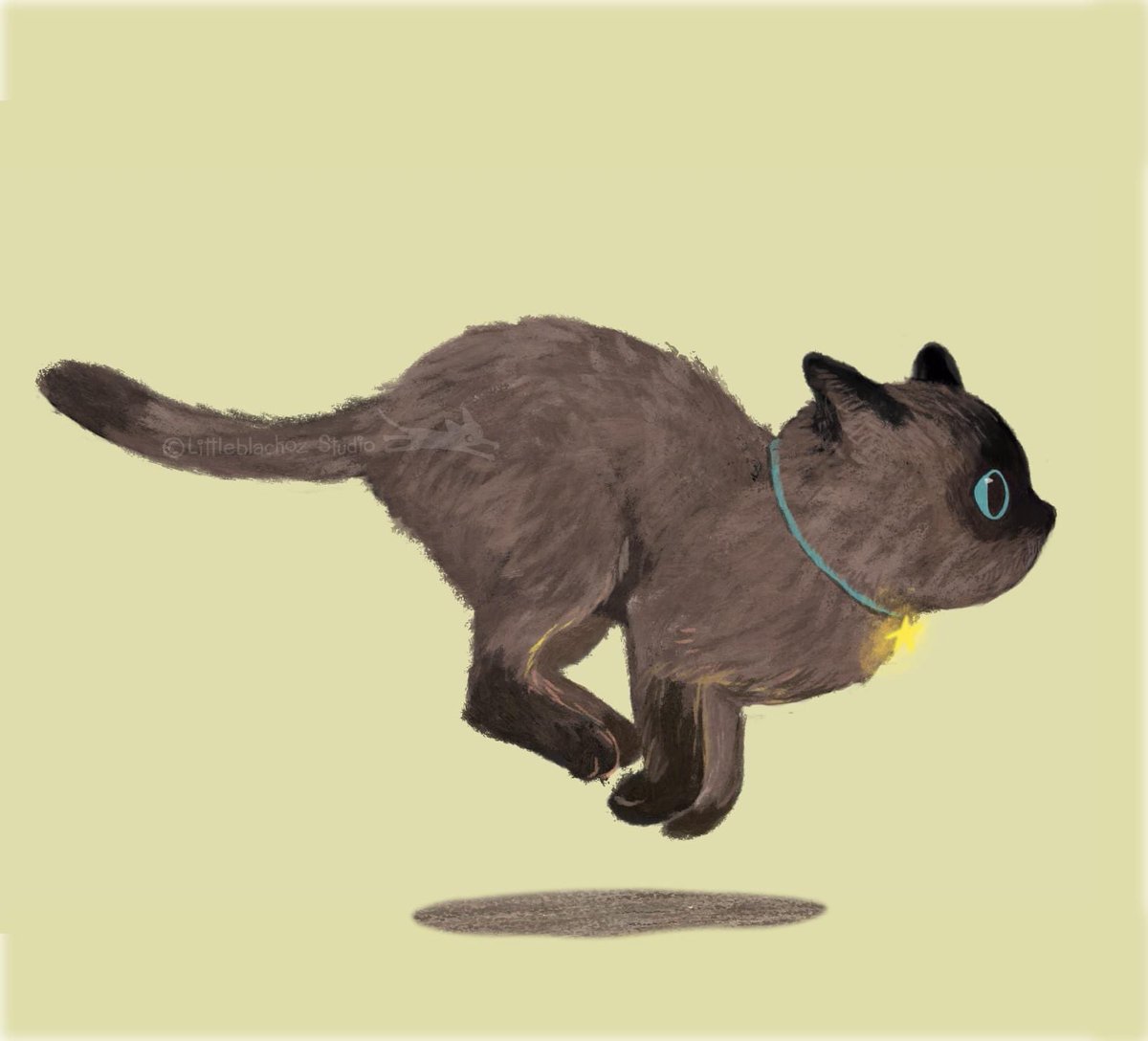 Run cat run! 😸
.
.
//ภาพจาหหนังสือภาพเรื่องล่าสุดของล่าสุดครับ 😸
#picturebookmaker
#illustrationchildrenbook
#childrenbooks
#หนังสือภาพสำหรับเด็ก