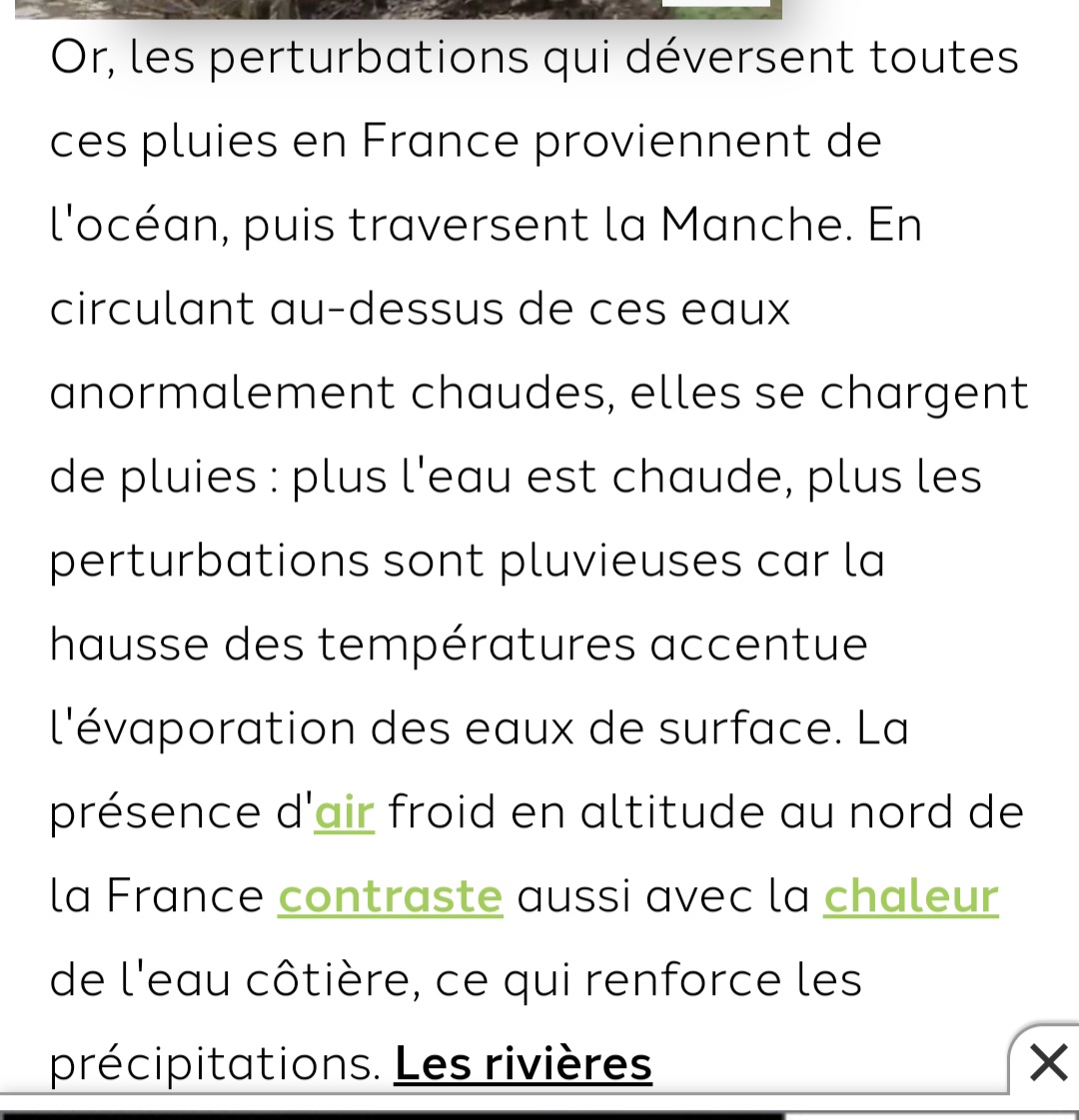 Big Wool tweet media