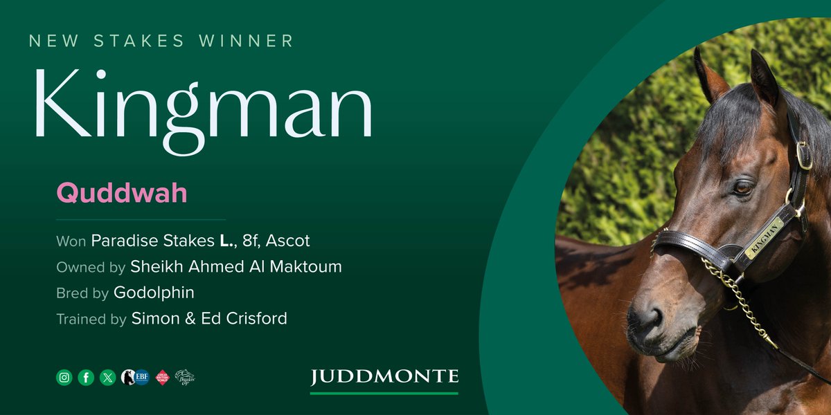 A late rally in the Listed Paradise Stakes @Ascot sees KINGMAN colt Quddwah maintain his unbeaten run (three wins from three runs) #RaisingTheStakes