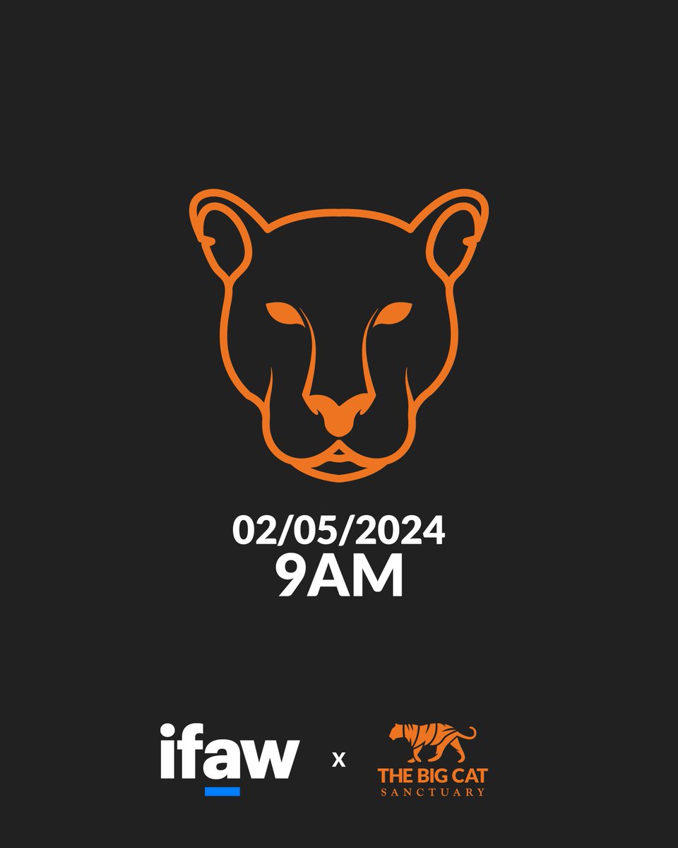 ⏰ Set your alarms for 9AM tomorrow as The Big Cat Sanctuary announces its BIGGEST and most important project to date! 🧡