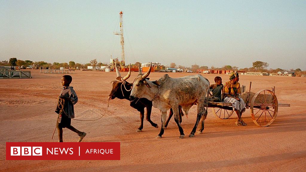 Le pétrole tchadien, une manne mal exploitée ? bbc.in/3wnnjNm