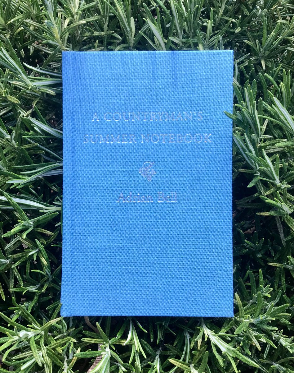 Published today! Thank you once again to @FoxedQuarterly for producing such a beautiful edition of Bell’s Summer essays, gathered together from the archives. May the sun finally shine on them again ☀️