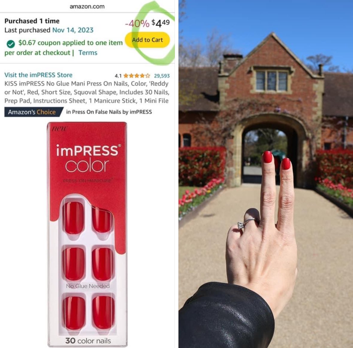 Kelly Donlin tweet media