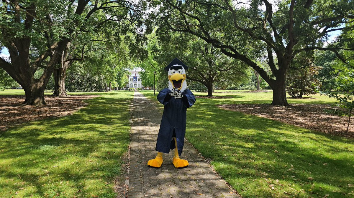 Calling all @GeorgiaSouthern grads 📸

Looking to take your graduation pictures with @GusTheEagleGS? He’ll be in Sweetheart Circle 𝗧𝗢𝗗𝗔𝗬 from 3-5 p.m. 

#HailSouthern