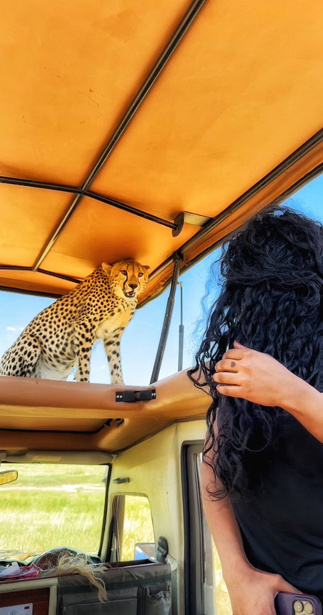 Who you callin’ a Cheetah!? 🤪