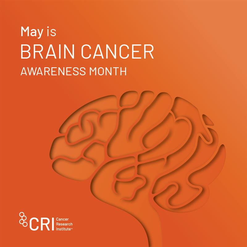 Show your support during #BrainCancerAwarenessMonth by making a gift to accelerate groundbreaking cancer immunotherapy research. Donate today to help the Cancer Research Institute change the outlook for patients with brain cancer: bit.ly/3Pv3FFB #CancerResearch