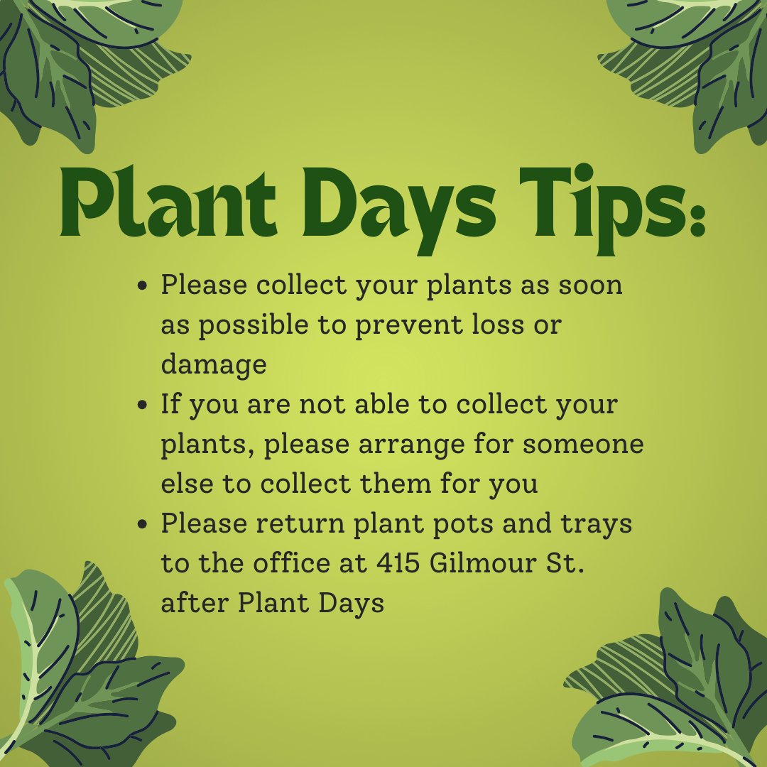 Plant Days are almost here! Swipe through for some reminders about your plant delivery ➡️ CCOC tenants should check their emails or expect a phone call this week with more building specific information.