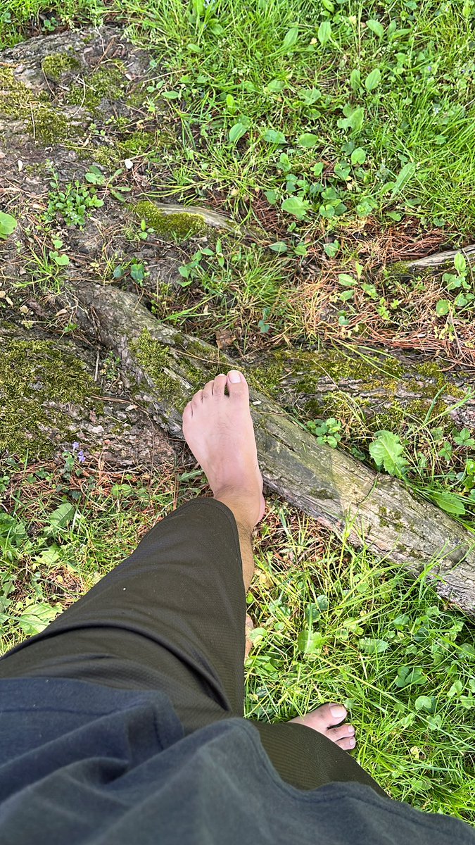I’ve been massaging my feet on this tree for a while now. It feels so good. And exfoliation is included!❤️

Have you tried it? What was it like?

#morningFootMassage