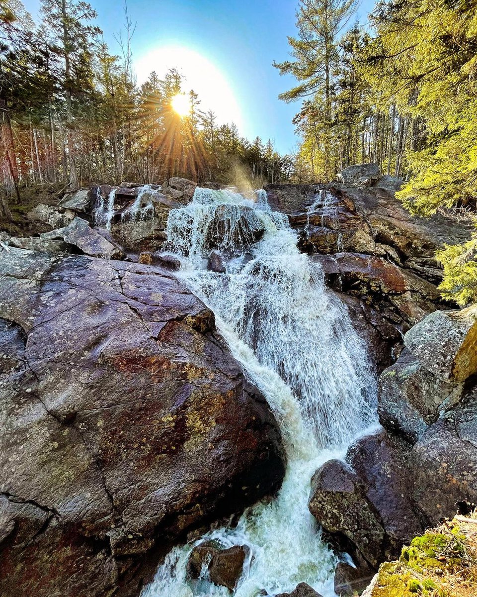 Happy #WaterfallWednesday and May! While you will still find snow and ice at higher elevations, down below there is a good chance you will find mud. 😬 It's a good thing some of our waterfalls (like Georgiana Falls) are not a long walk to get to. 
📷: @emily_cummings603