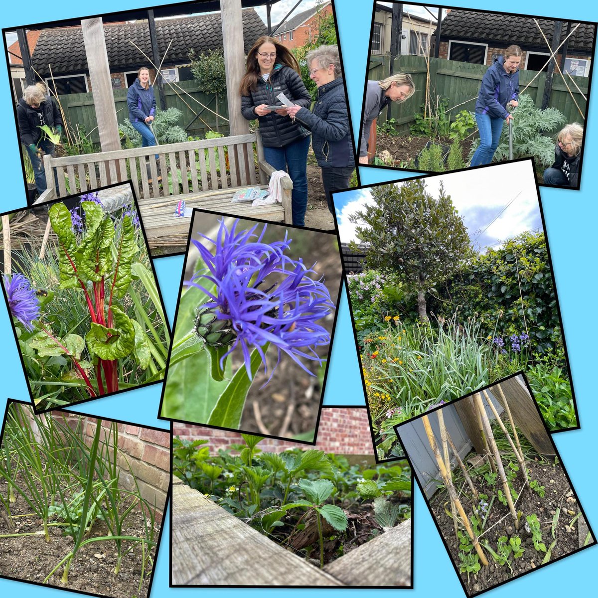 Communuty Garden @TheButterfield1 If you'd like to volunteer (even just an hour a month) contact them directly on enquiries@thebutterfield.org.uk @coopuk have donated a children's gardening pack & will provide cakes for the next garden event #communitygardening #GoodToGrow2024