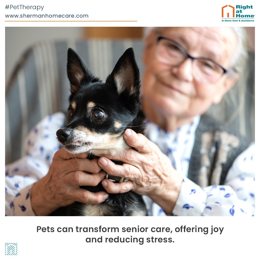 Explore how pet therapy enhances senior living, reducing stress and boosting happiness. 🐾 Discover the benefits and how to get started by visiting shermanhomecare.com or calling (833) 923-2273. #PetTherapy #SeniorCare