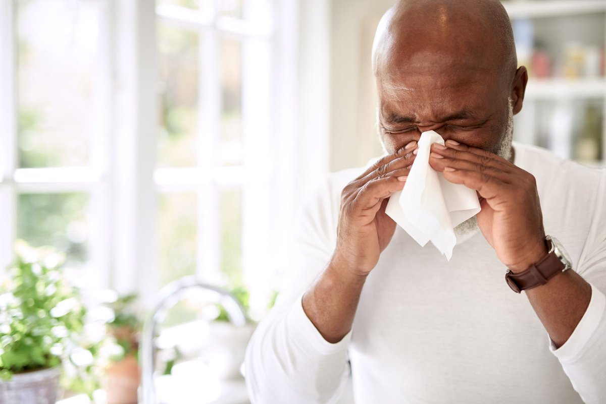 RusticpanR's tweet image. Have allergies?  Here are some natural ways to combat their symptoms by #VeryWellHealth.

#naturalremedies #alternativeremedies #tips #allergies 

buff.ly/44iSaan